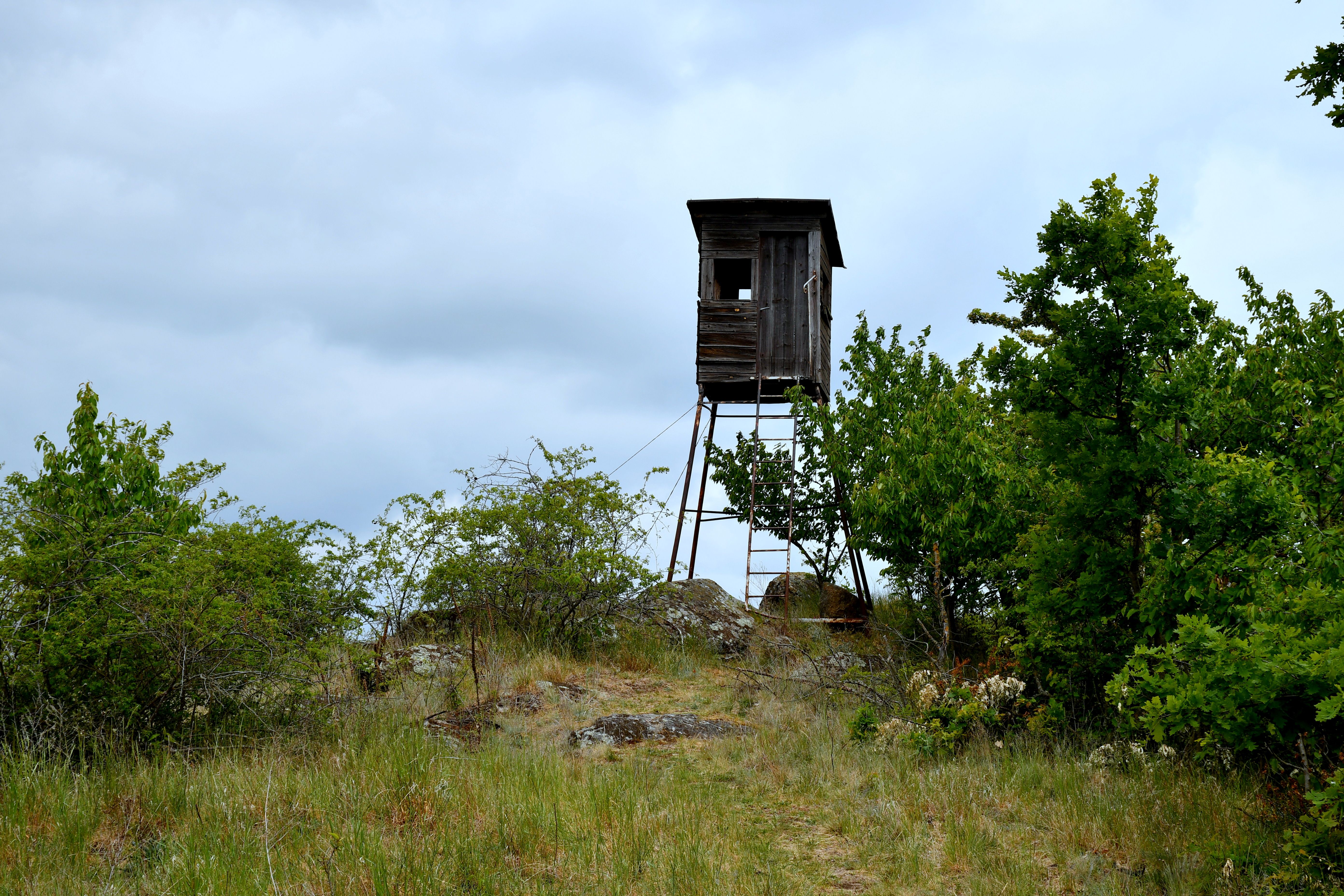 Feldberg közelében Roggendorf