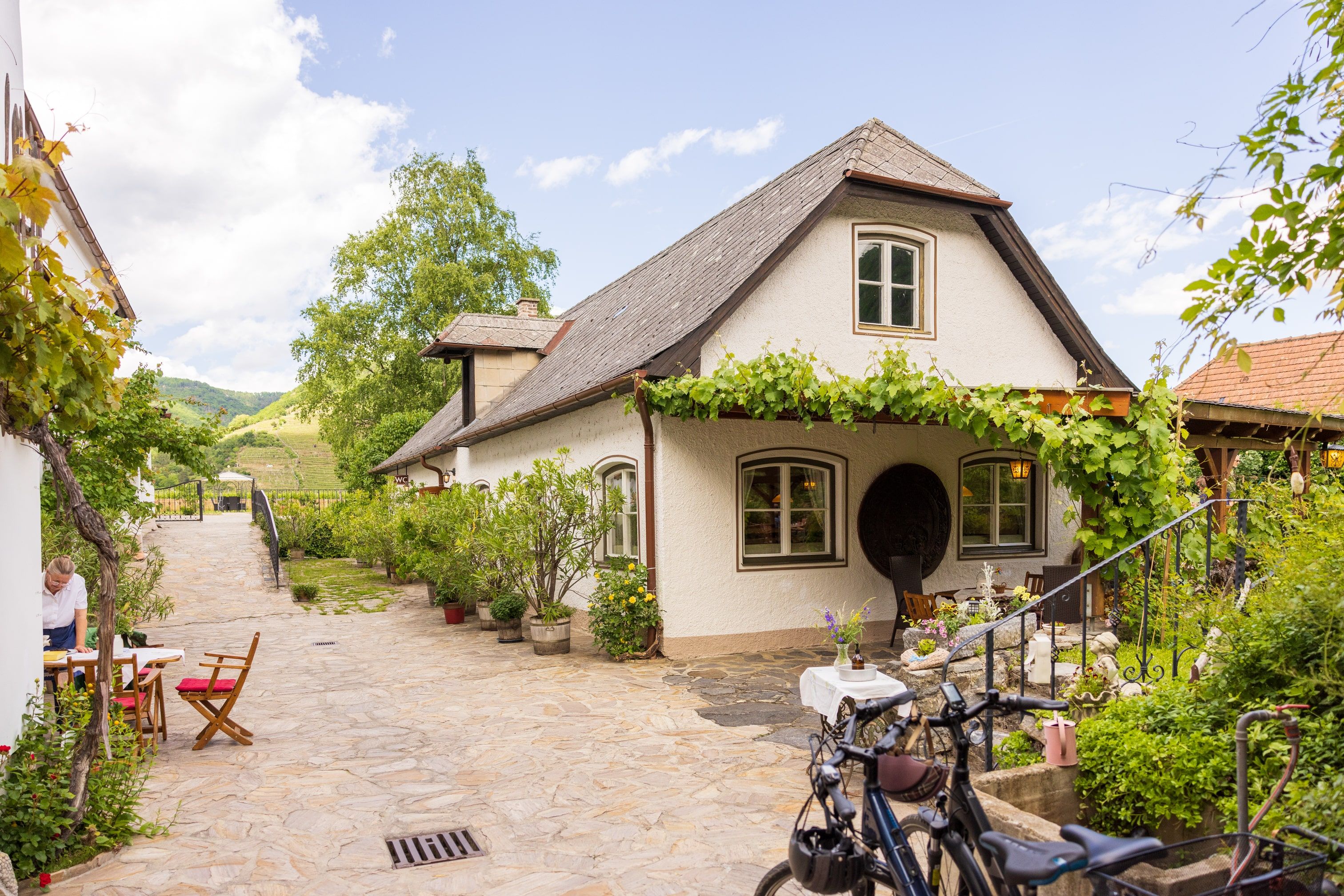 Weinhauer és Brustbauer