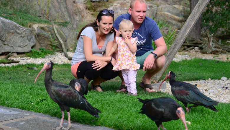 Northern Bald Ibis aviary, &copy; Waldrapp Voliere