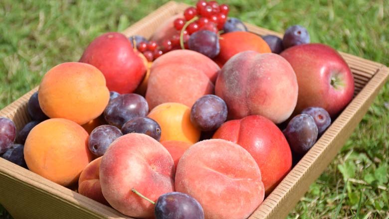 Fruit assortment, &copy; Familie Schreiber