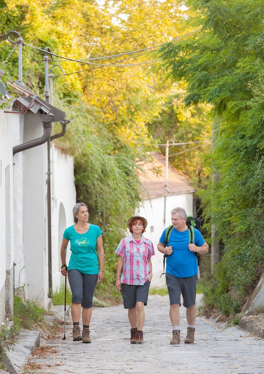 Barangolás a Weinviertel pincesorain keresztül