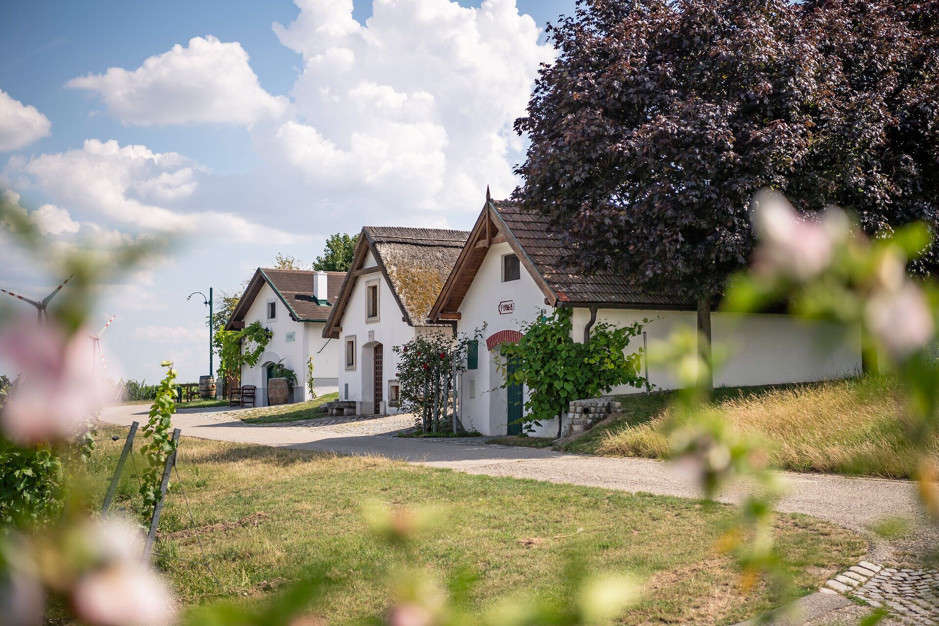 Höflein idilli pincesorán bájos, hagyományosan kialakított turistaházak hívogatják a vendégeket. A buja zöldövezet és virágzó növények által körülvett nyár itt különleges nyugalmat és meghittséget sugároz. Tökéletes hely a kikapcsolódásra és a természet szépségének élvezésére.