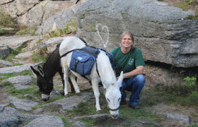 Holzmühle Inn & Pony Farm, © Birgit Taxböck