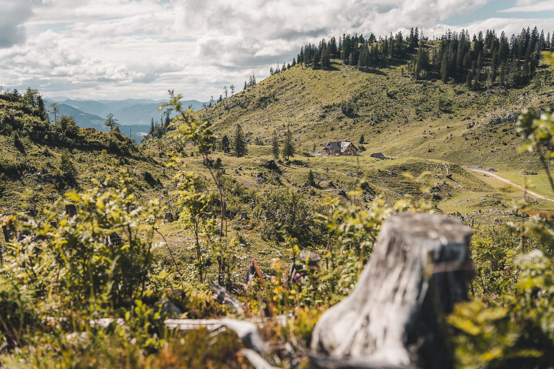 Alpesi táj az Ybbstalerhütte körül a Mostviertelben.