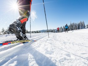 S&iacute;fut&aacute;s a B&eacute;csi Alpokban, &copy; Wiener Alpen in Nieder&ouml;sterreich