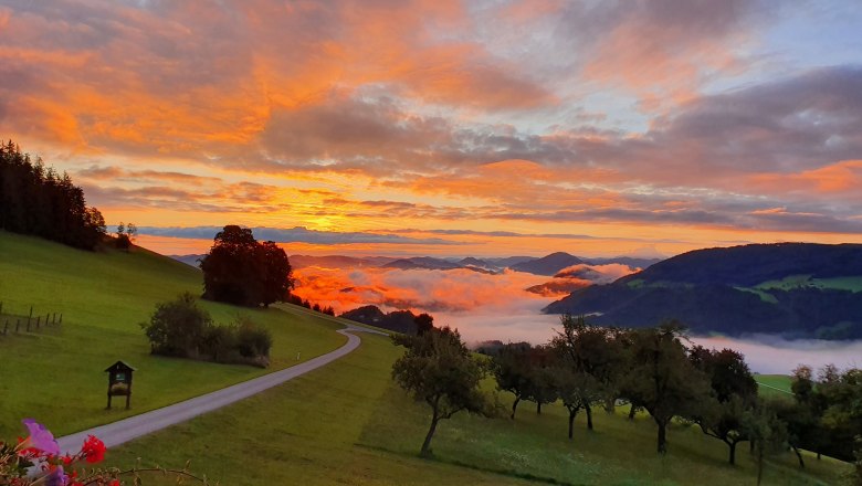 Reggeli hangulat, &copy; Melanie Schweighuber