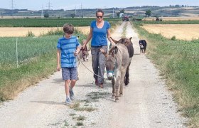 Donkey walk, &copy; Fam B&ouml;chzelt