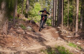 Singletrail 2, © Wexl Trails