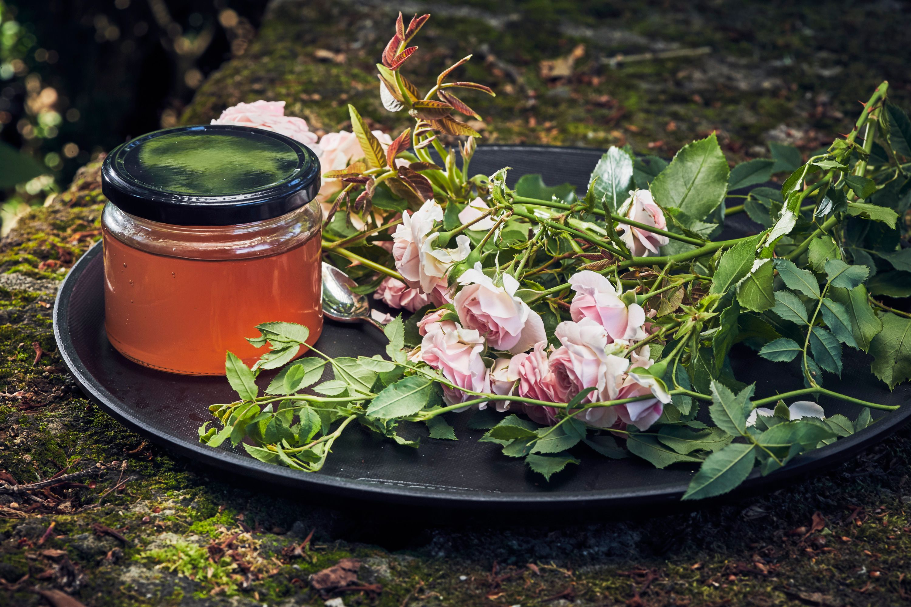 Besonders: Rosenblütengelee