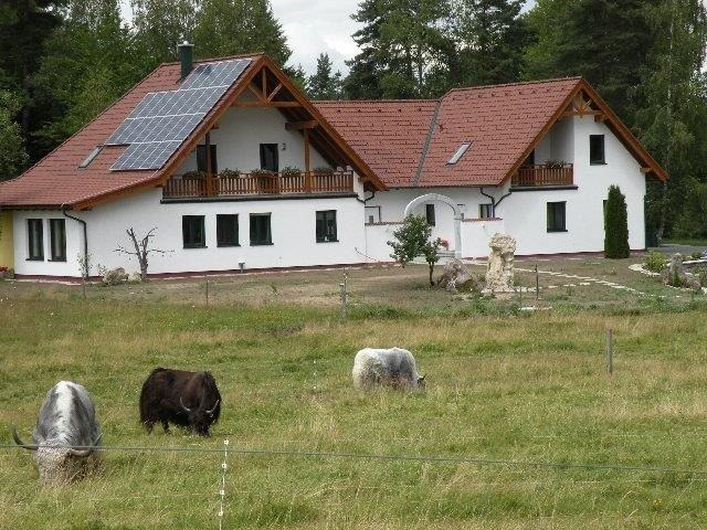 Modern parasztház napelemekkel a tetőn, körülötte legelésző jakokkal teli rét.