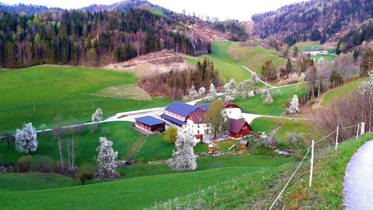 Üdülés a tanyán - Oberrehau