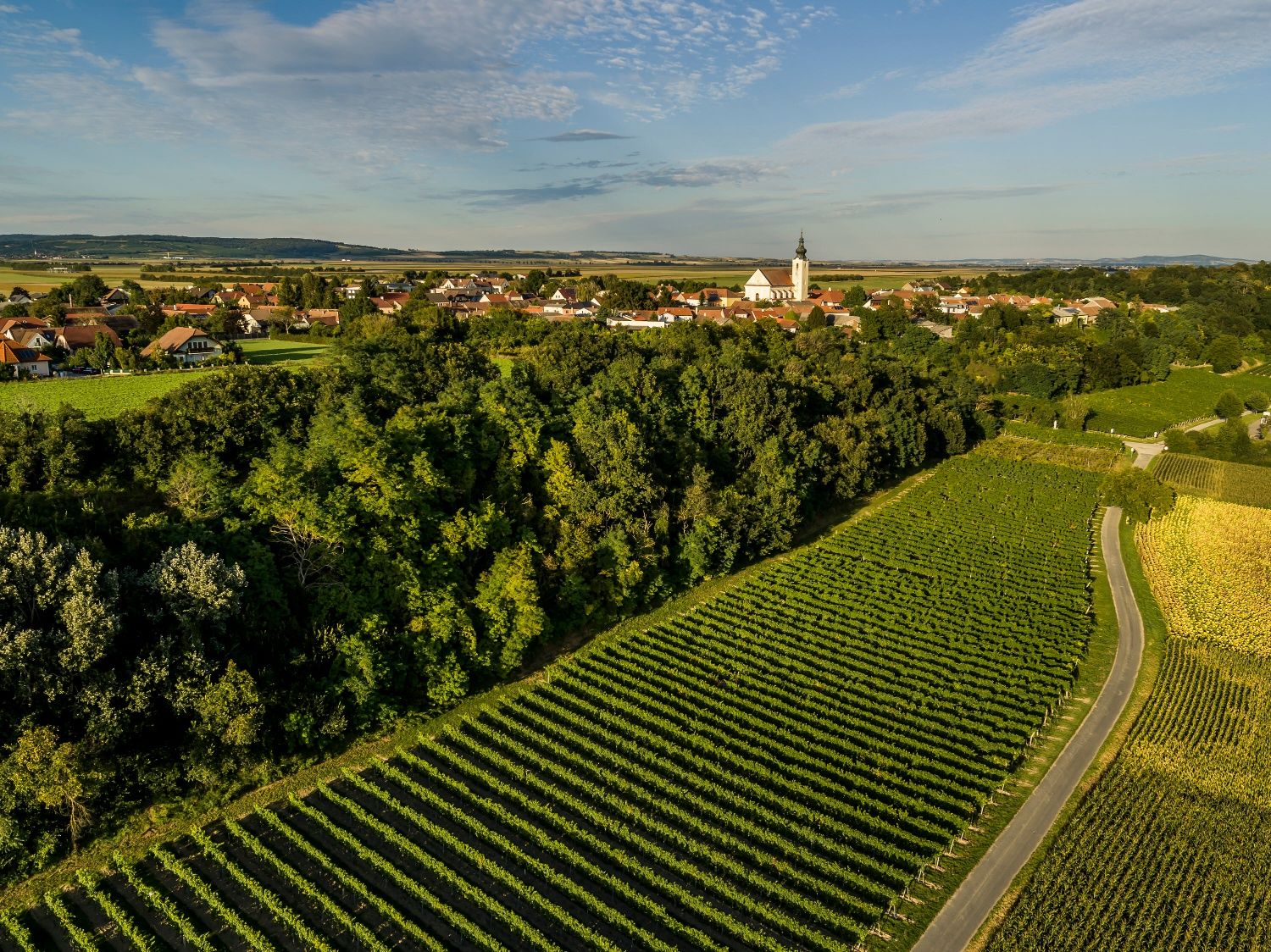 Stetteldorf am Wagram légifelvétele, előtérben szőlőültetvények, háttérben egy templom.