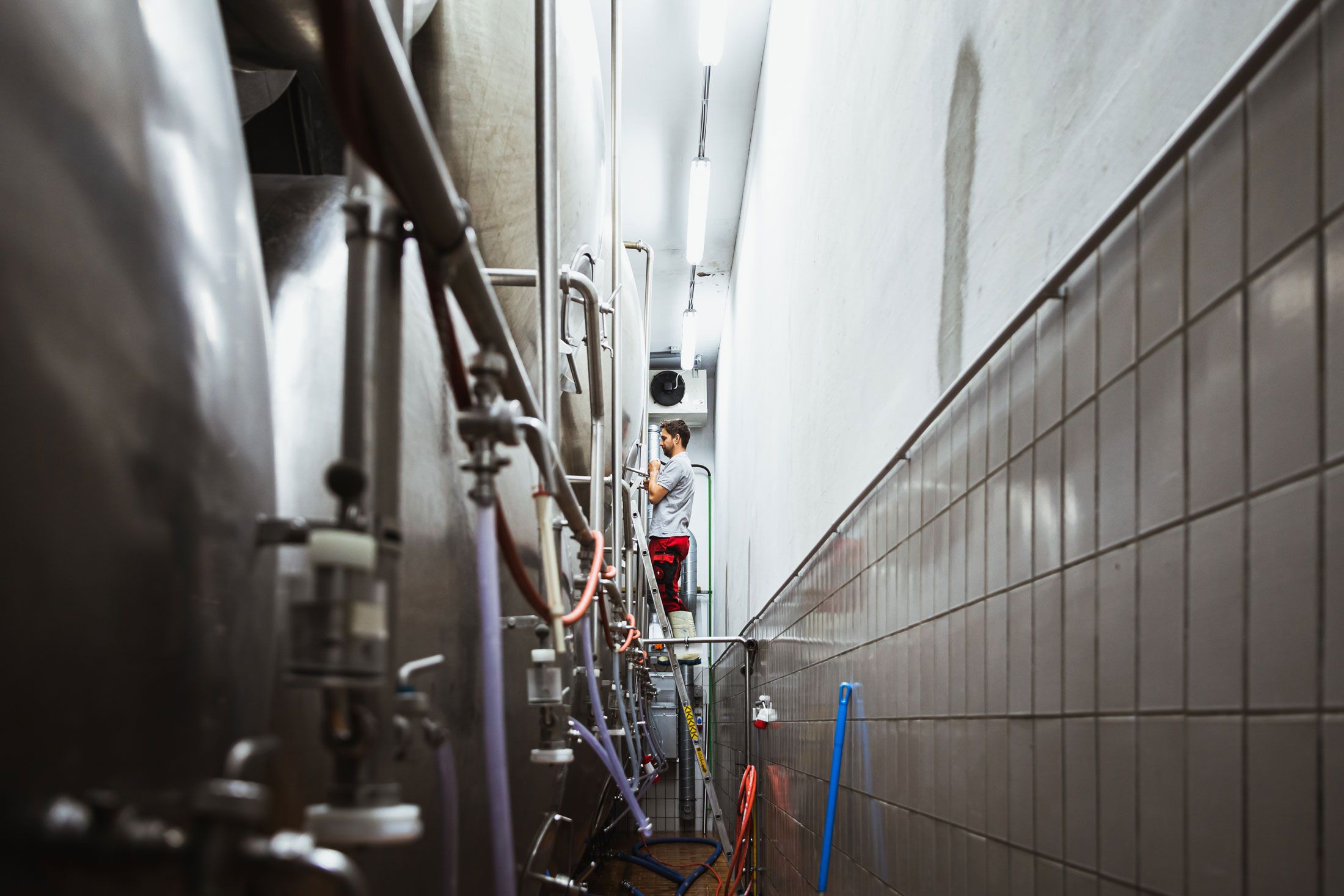 Egy férfi dolgozik egy sörfőző üstön egy sörfőzdében.