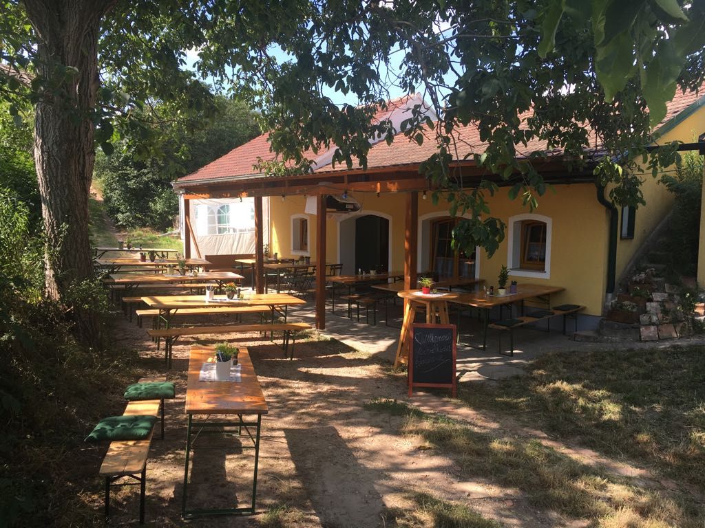 Wine Art találkozó Wieser