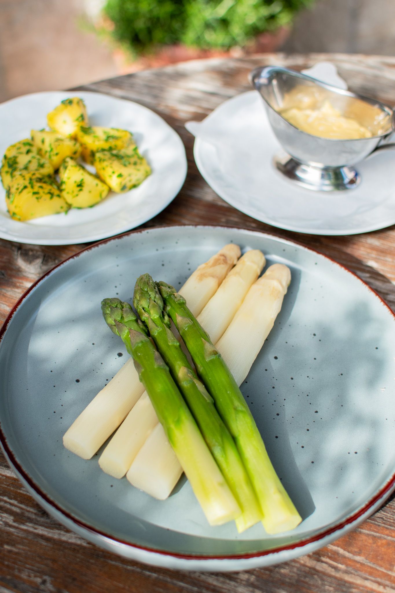 Marchfelder Bio Spargel