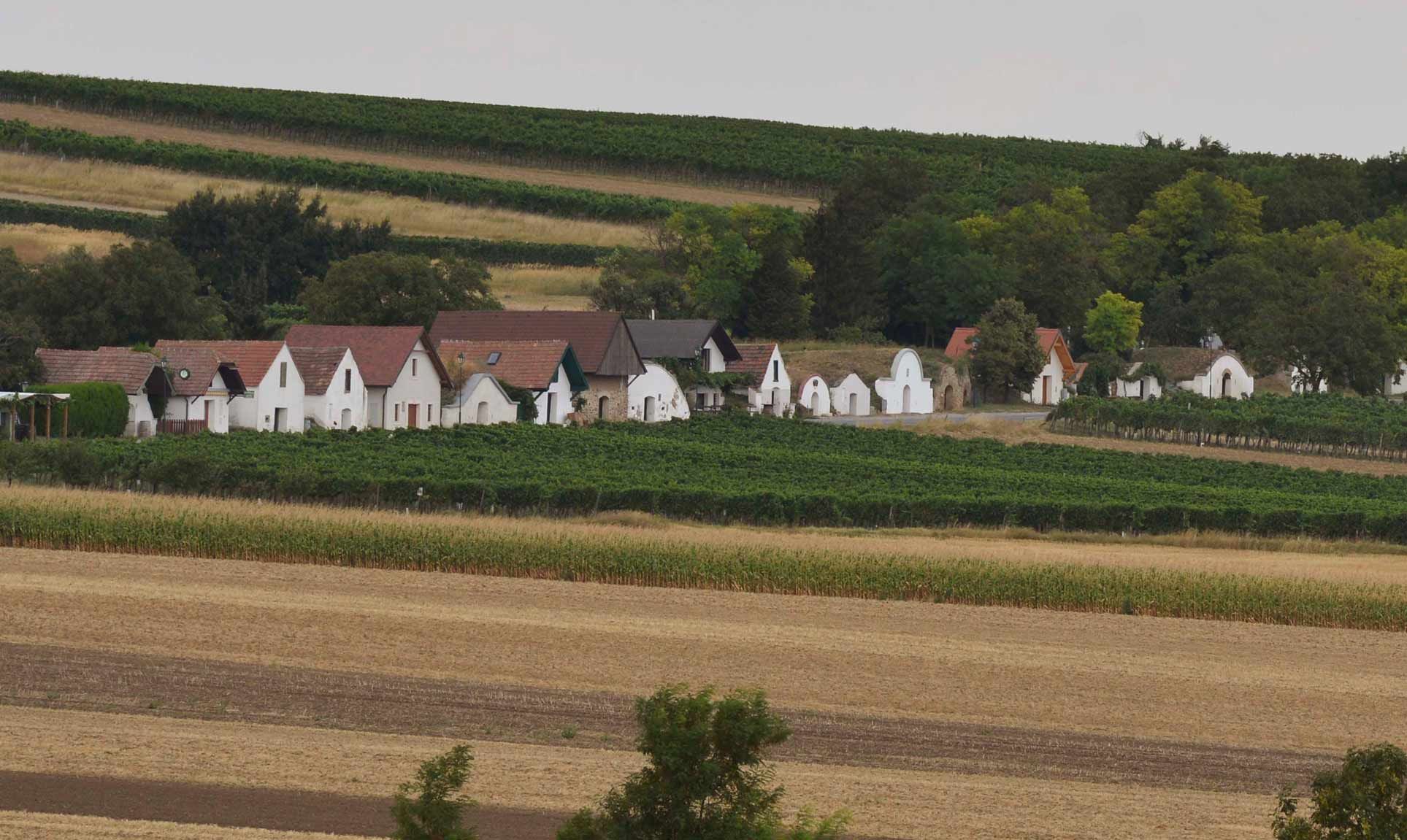 Pincesor Prellenkirchen, Römerland Carnuntum