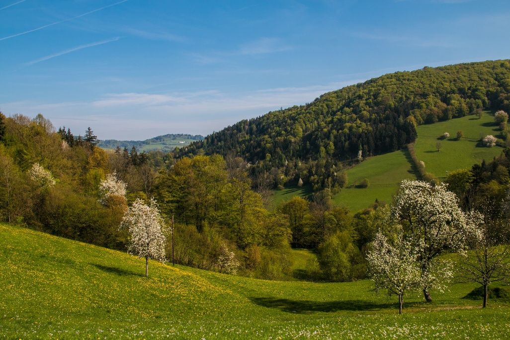 Kilátás a Holzsteigről