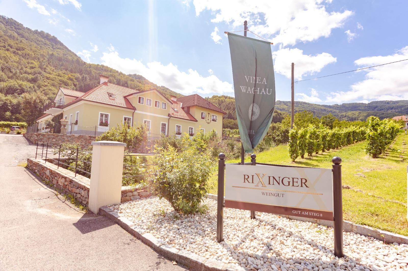 Rixinger borászat az épülettel és a szőlővel a háttérben.