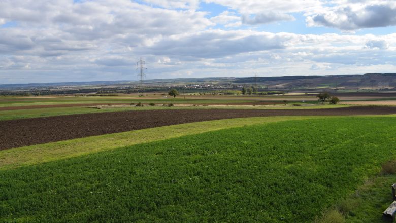 Széles táj, mezőkkel és villanyoszlopokkal, felhős égbolt alatt.