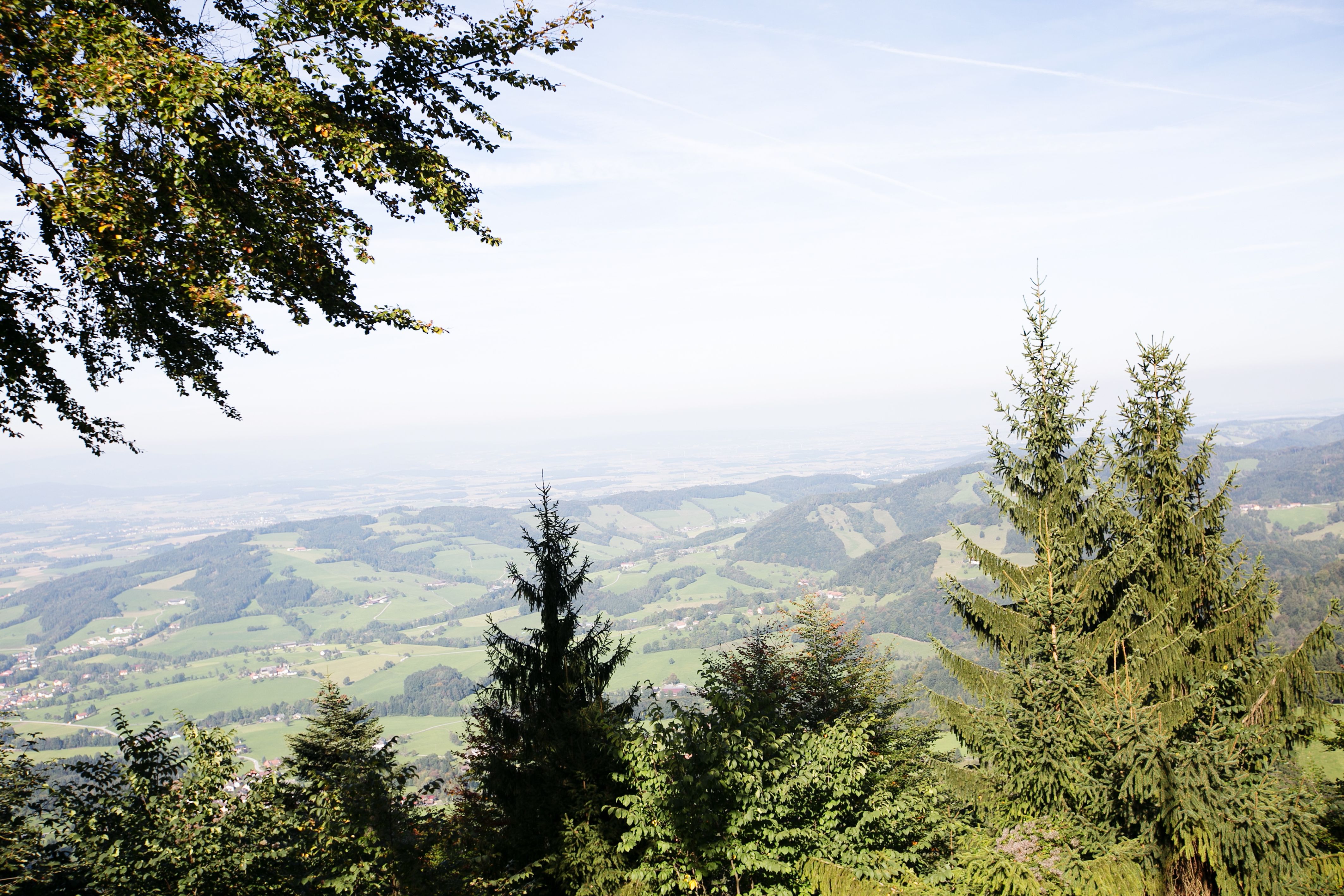 Panoráma a Grüntalkogelhüttéről egy zöld dombos tájra, előtérben fákkal.