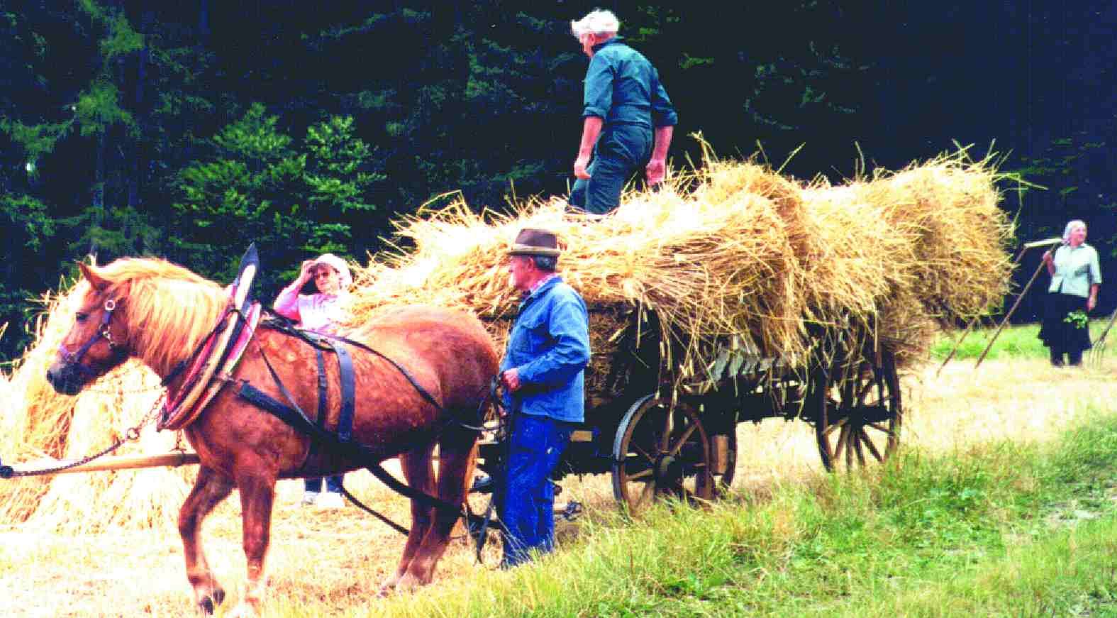 Farmer