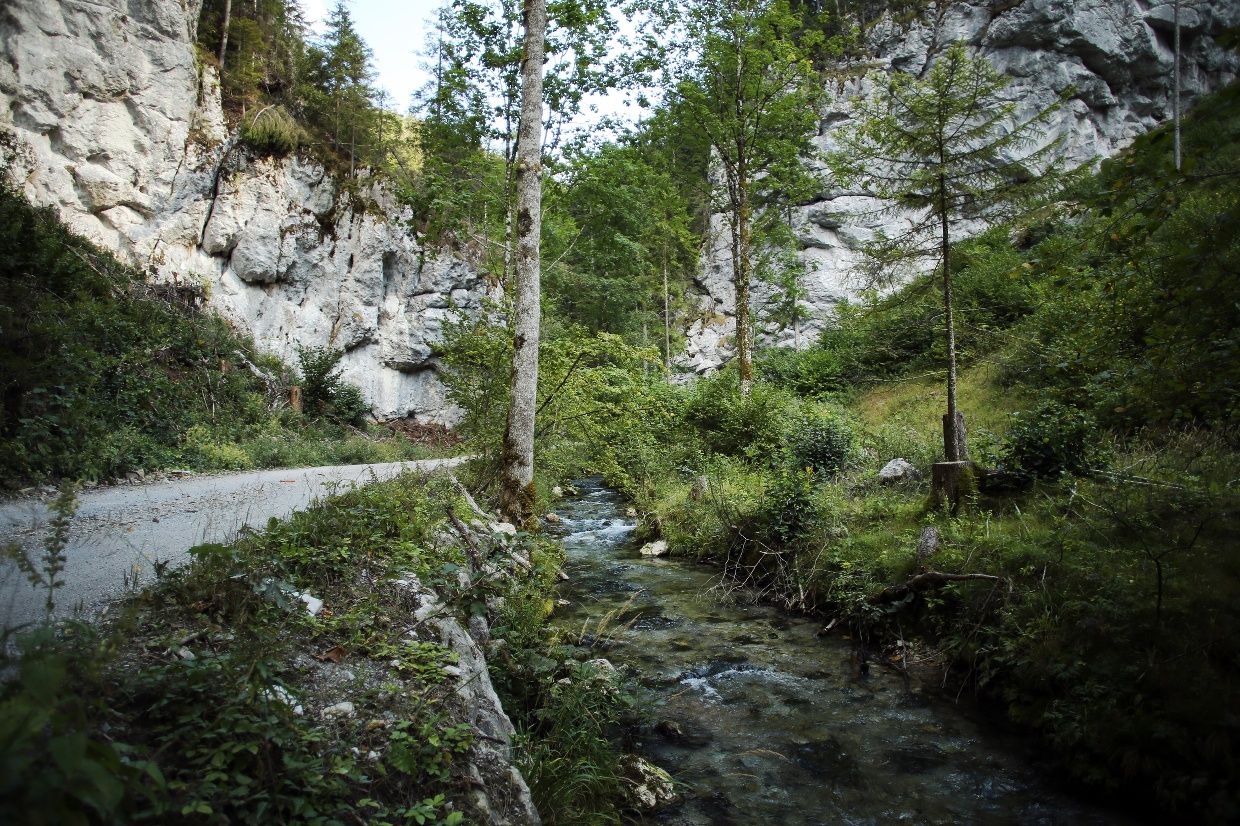 Falcon Gorge túra