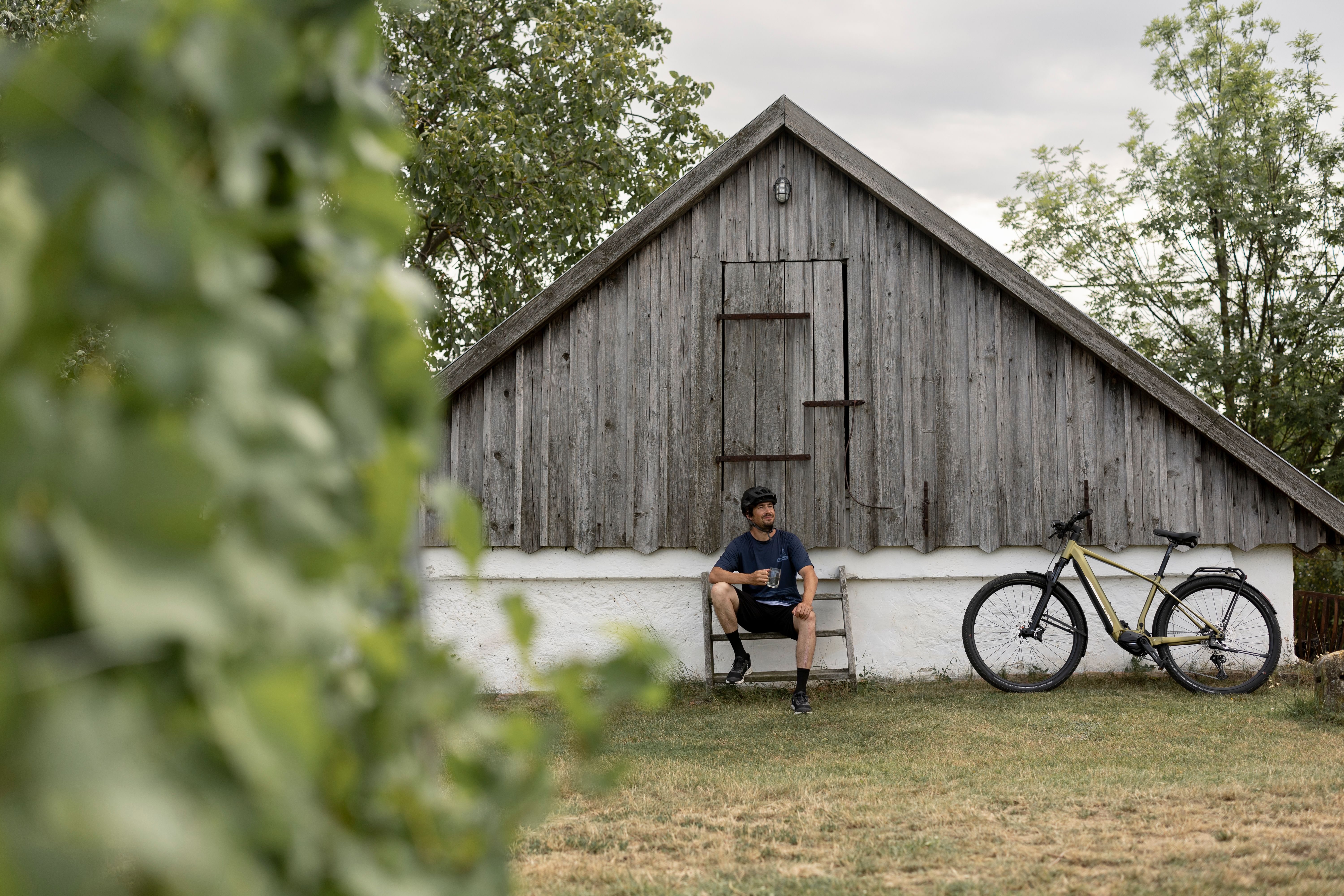 Festői pincesor fehér présházakkal és virágzó orgonával az előtérben.