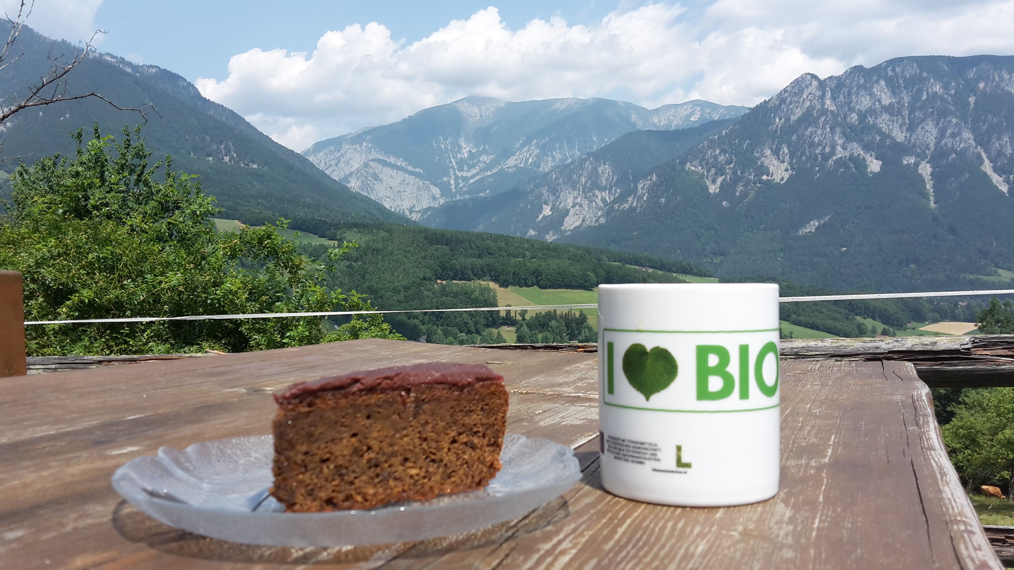 Egy szelet torta és egy csésze "I love BIO" felirattal egy faasztalon, egy hegyvidéki táj előtt.