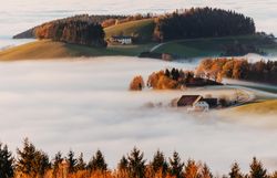 Im goldenen Licht des Herbstes entfaltet die sanfte Hügellandschaft ihre volle Pracht. Nebelschwaden umhüllen die malerischen Höhlen und Wälder, während die bunten Blätter der Bäume in warmen Tönen leuchten. Ein Ort der Ruhe und Inspiration, ideal für Naturliebhaber und Wanderfreunde.