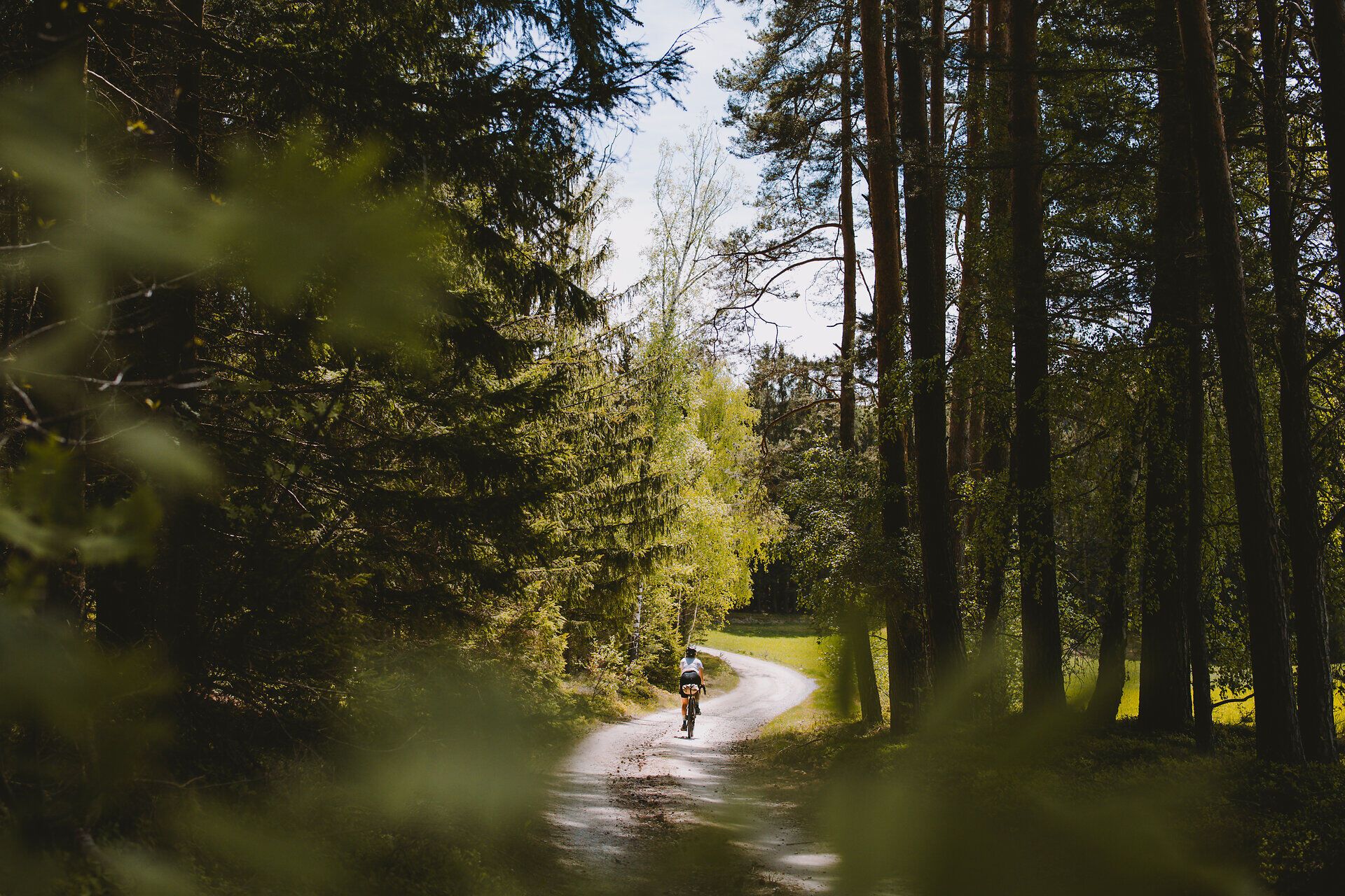 Ein Radfahrer genießt die frische Luft und die Ruhe der Natur auf einem malerischen Waldweg, umgeben von hohen Bäumen und sanften Hügeln. Die Sonne strahlt durch das Blätterdach und schafft eine einladende Atmosphäre für Abenteuerlustige und Naturliebhaber.