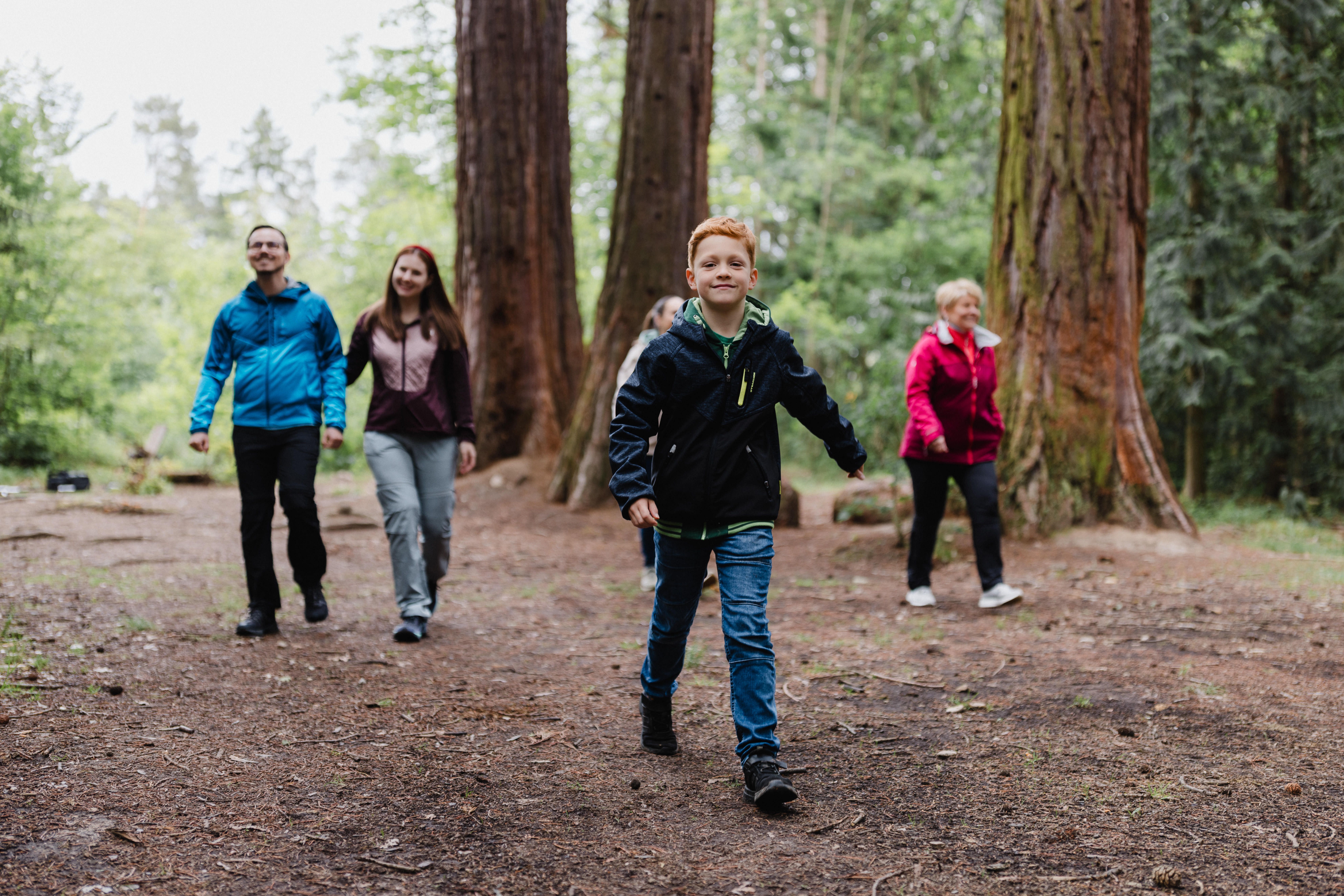 Emberek csoportja sétál egy erdőben magas fákkal.