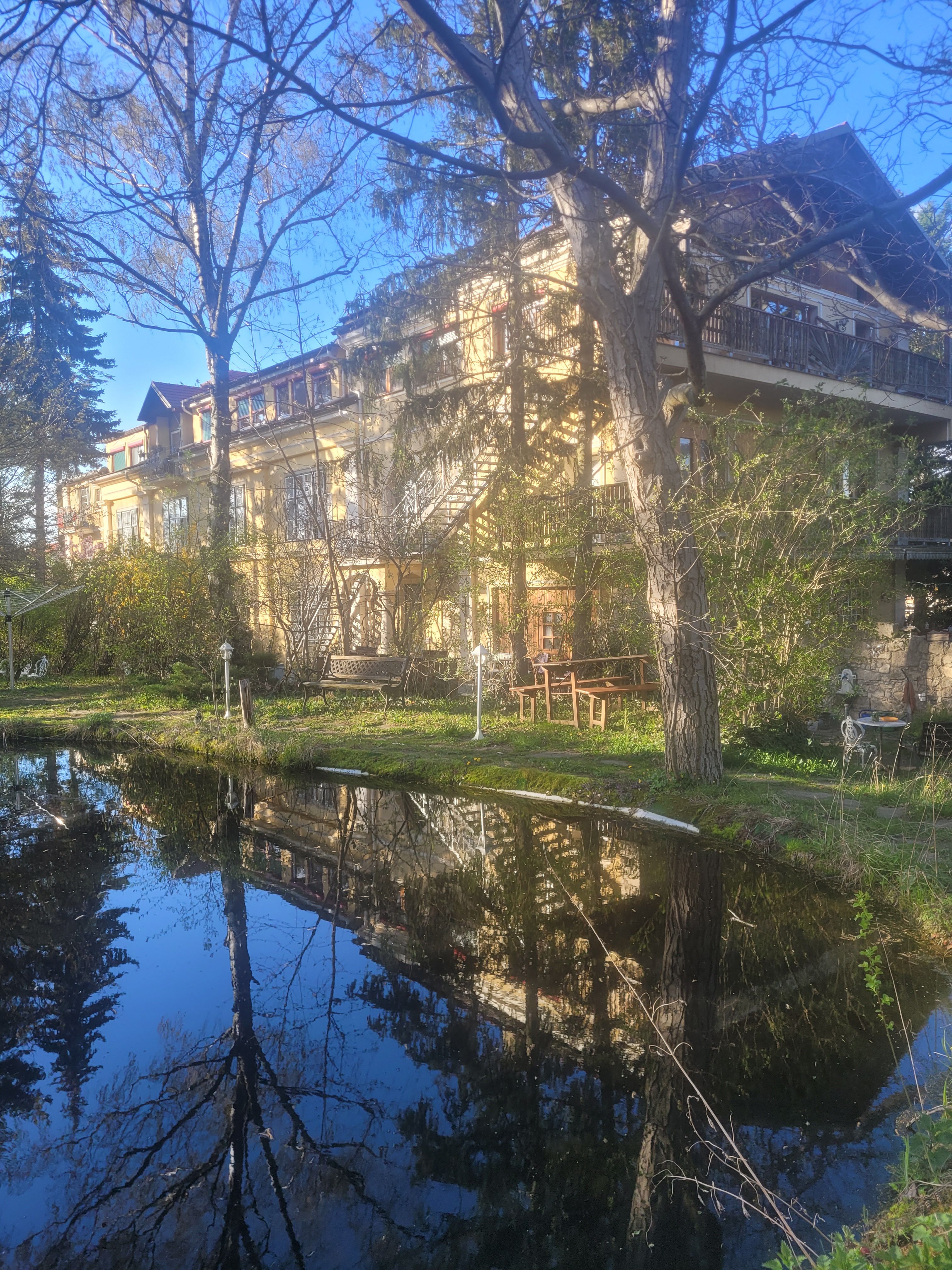 Pannonica, Wolfsthal, kerti tó tavasszal