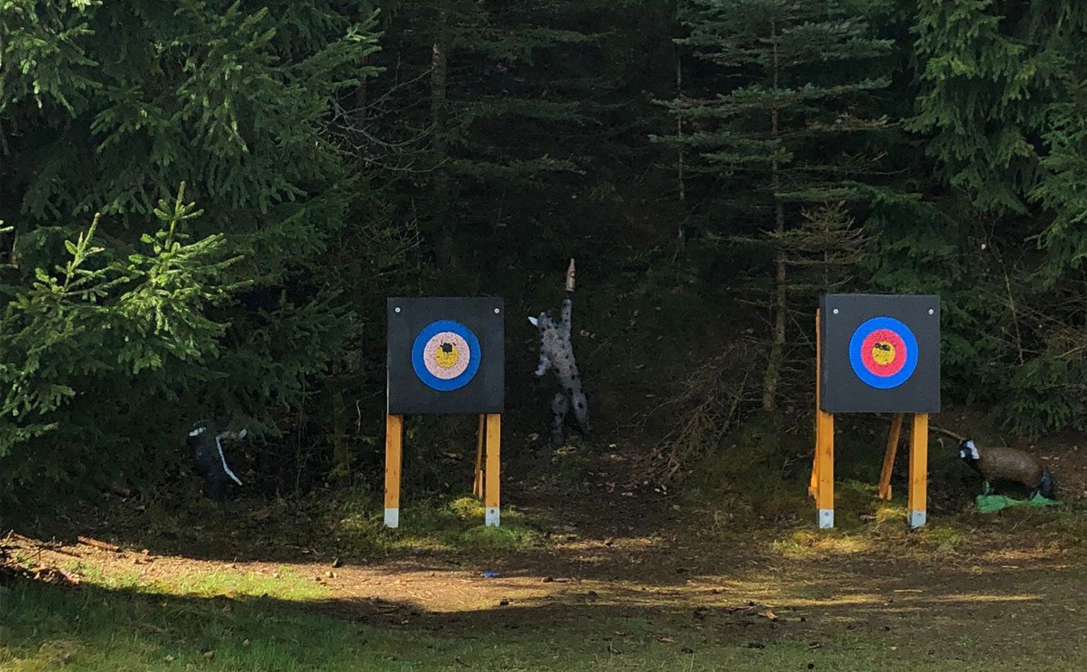 Golyó ütötte lyuk