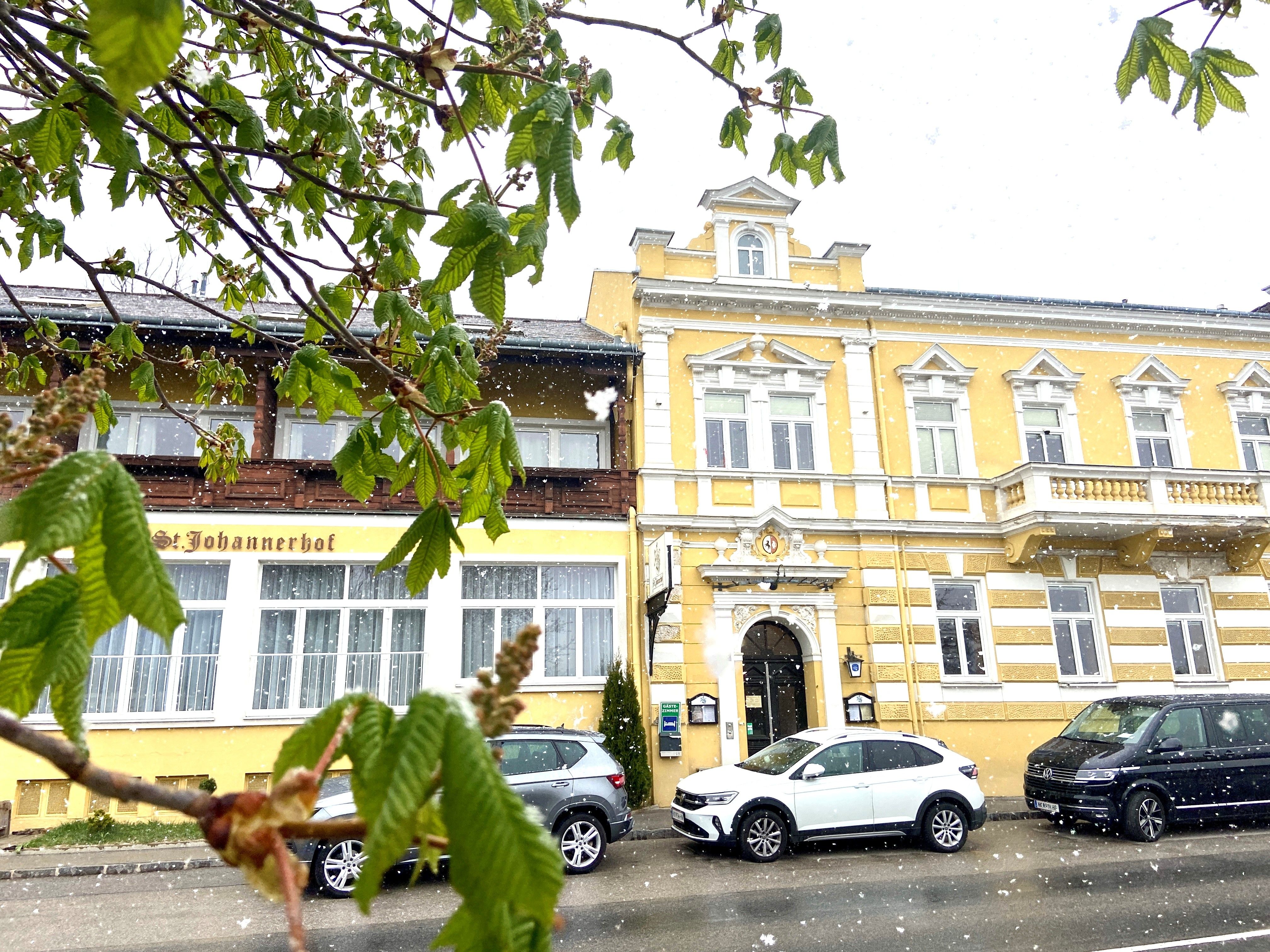 A Sankt Johannerhof sárga épülete, előtte hófödte autókkal, előtérben zöld levelekkel.