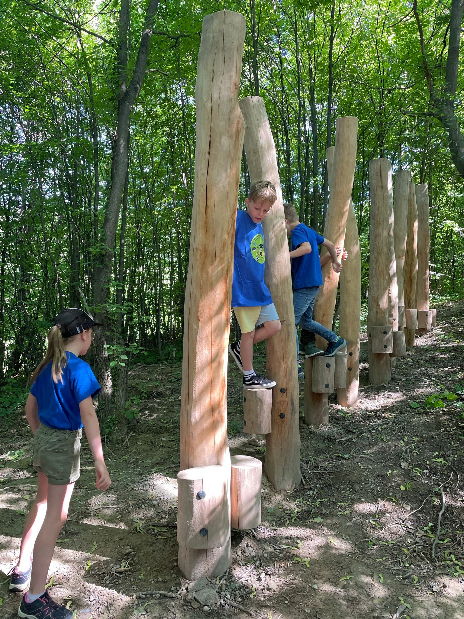 Természetvédelmi park az erdőben - Josefspark 4