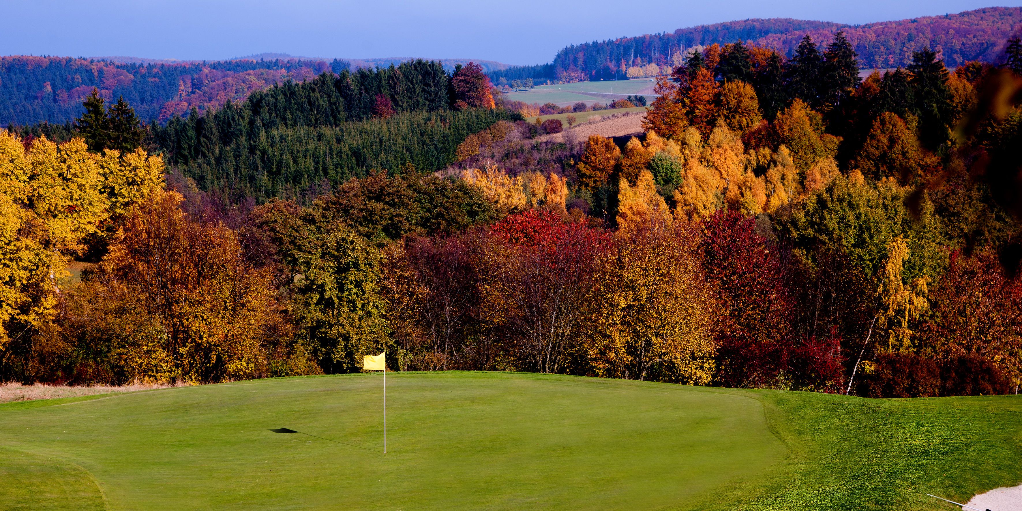 Golfpálya őszi fákkal a háttérben, sárga zászló a zöldön.