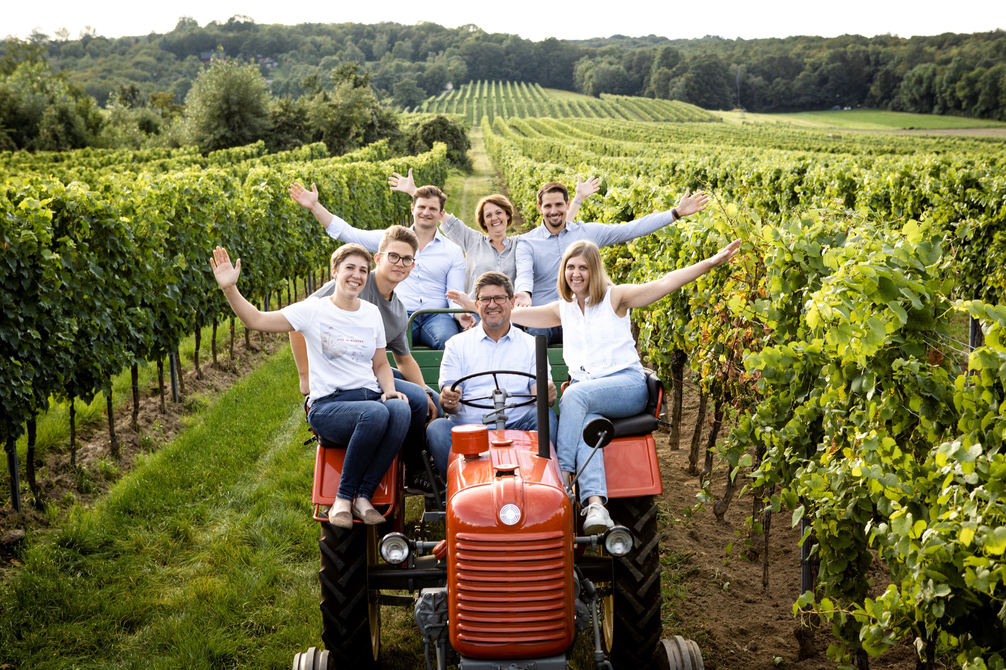 Emberek csoportja egy traktoron egy szőlőben.