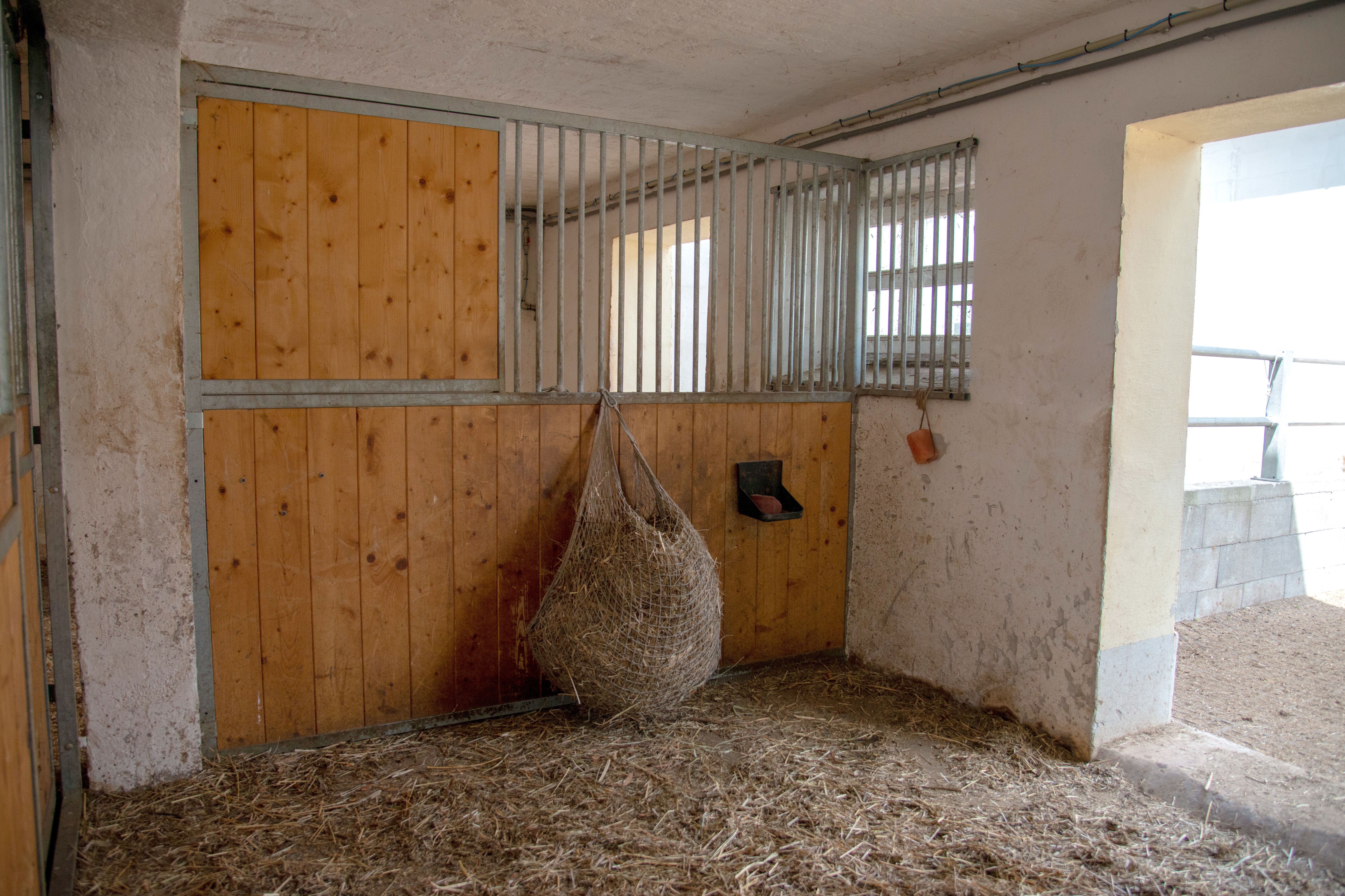 Hippo Campus, stabil