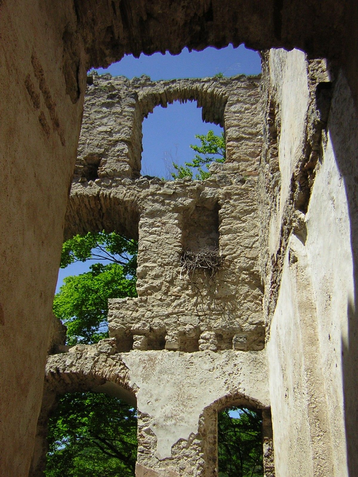 Romfal ablaknyílásokkal és madárfészekkel, fákkal körülvéve.