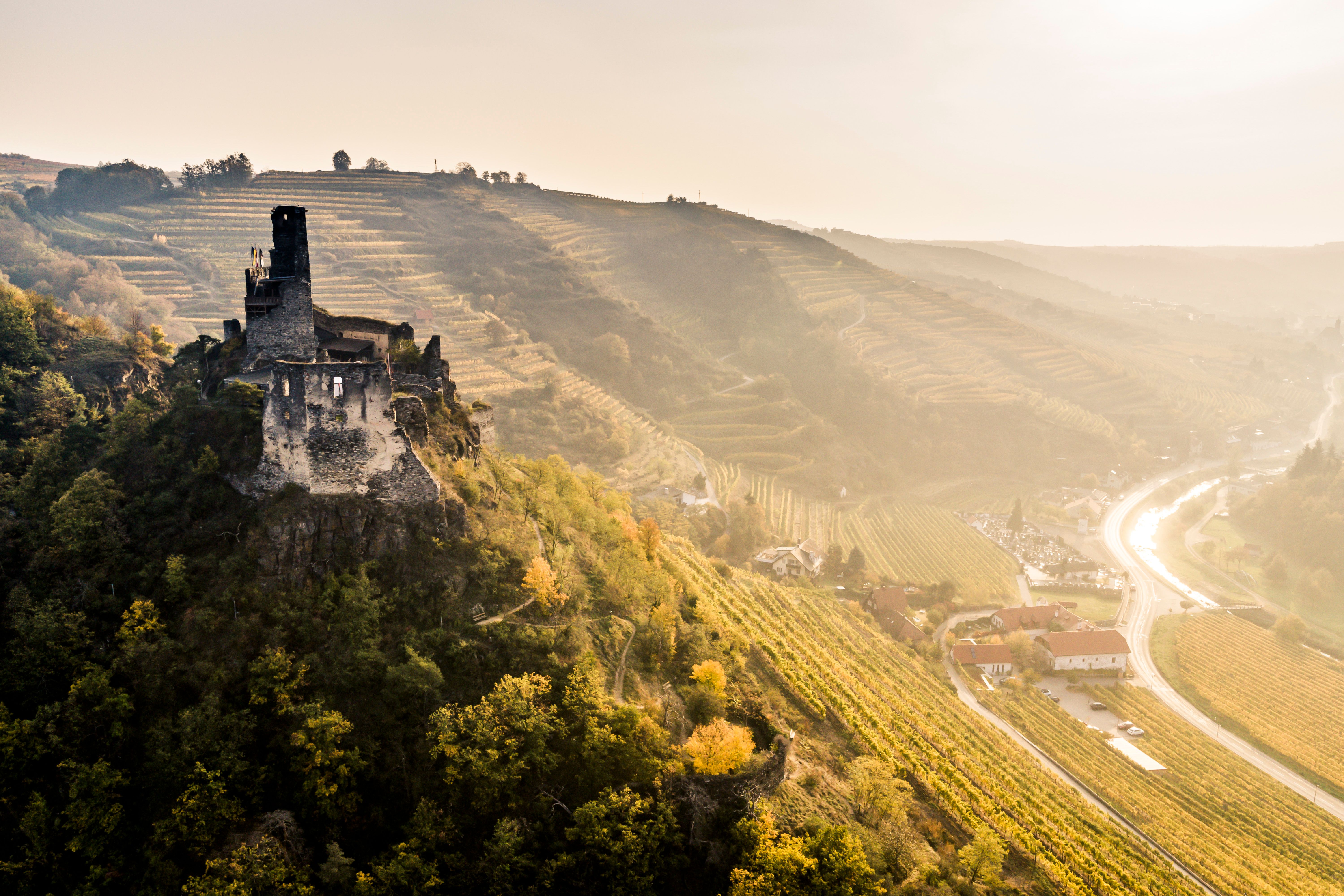Die Ruine thront majestätisch über den sanften Hügeln, umgeben von goldenen Herbstfarben, die die Landschaft in ein warmes Licht tauchen. Ein sanfter Wind weht durch die Weinreben, während die Sonne langsam am Horizont sinkt und eine friedliche Atmosphäre schafft, die zum Verweilen einlädt.
