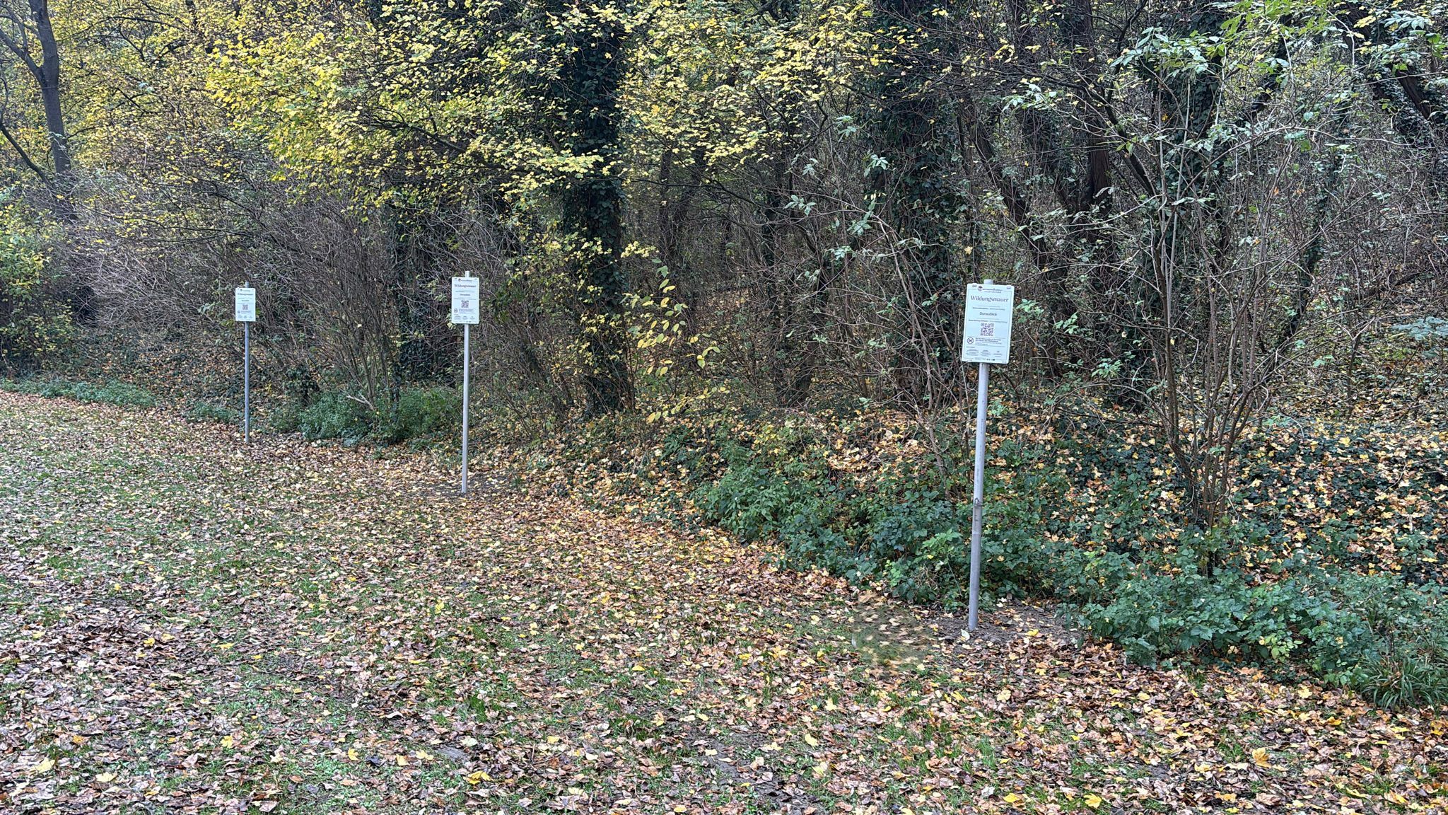 Pitch előtt egy erdőben táblákkal. 