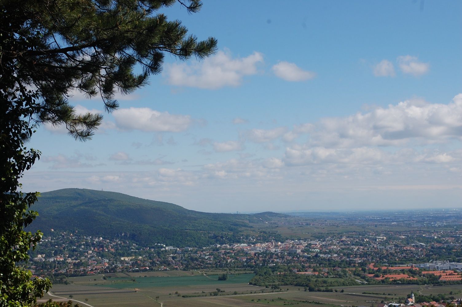 Kilátás a Harzbergről