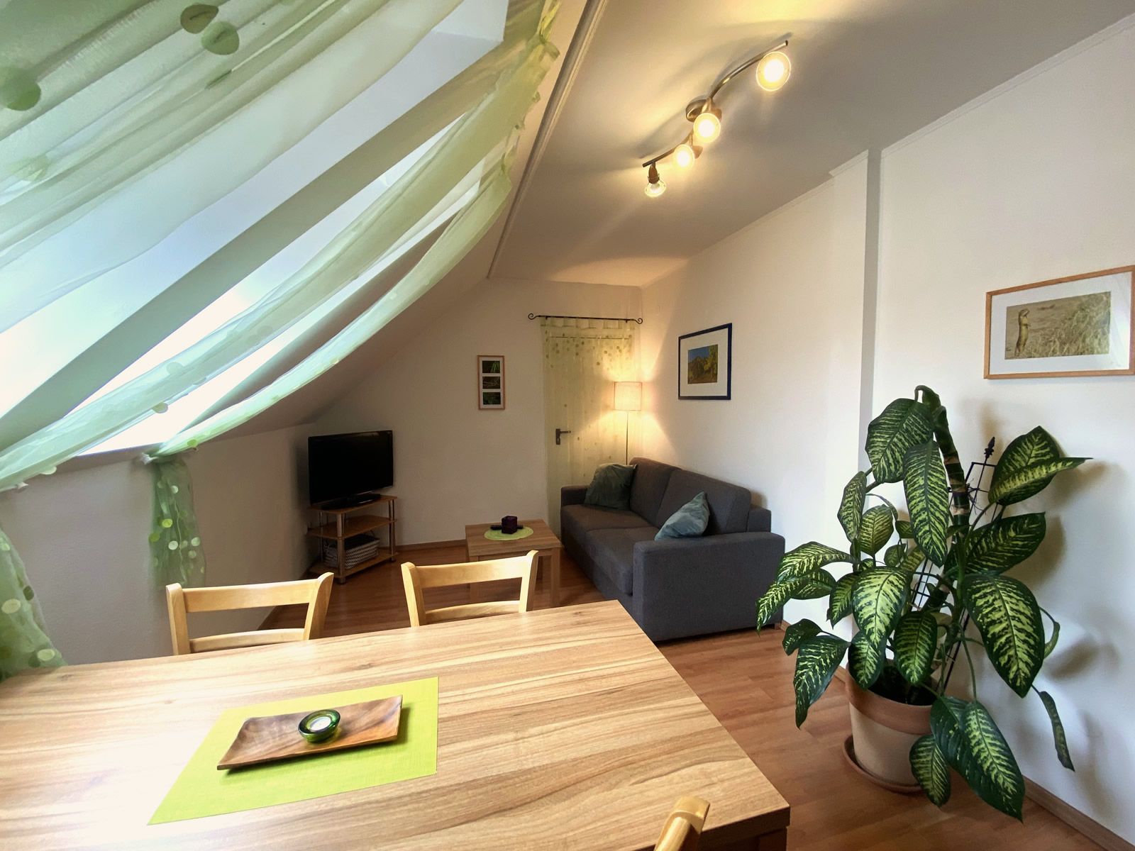 Hangulatos nappali kanapéval, étkezőasztallal, TV-vel és nagy szobanövénnyel.