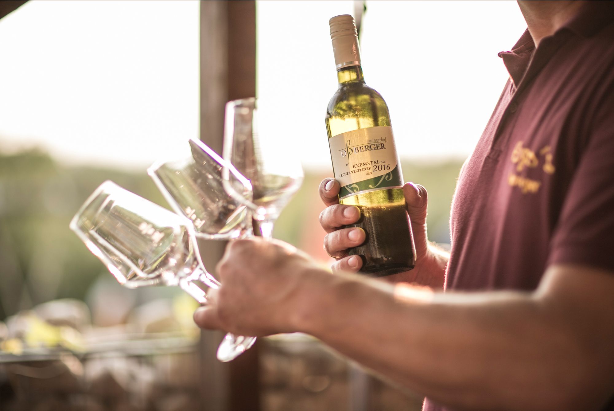 Az illető kezében egy üveg Zöldveltelini 2016 és több pohár bor.