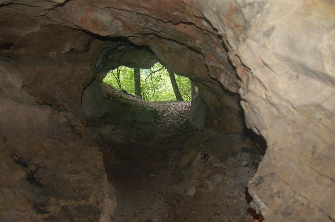 Természettudományi túra Paulinenhöhle - Sulzbachtal