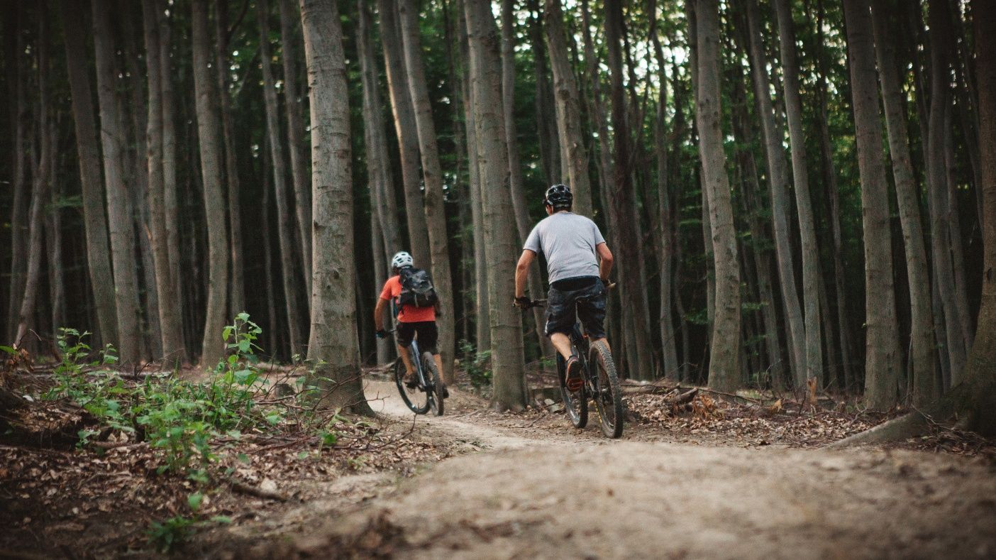 MTB Bécsi-erdő
