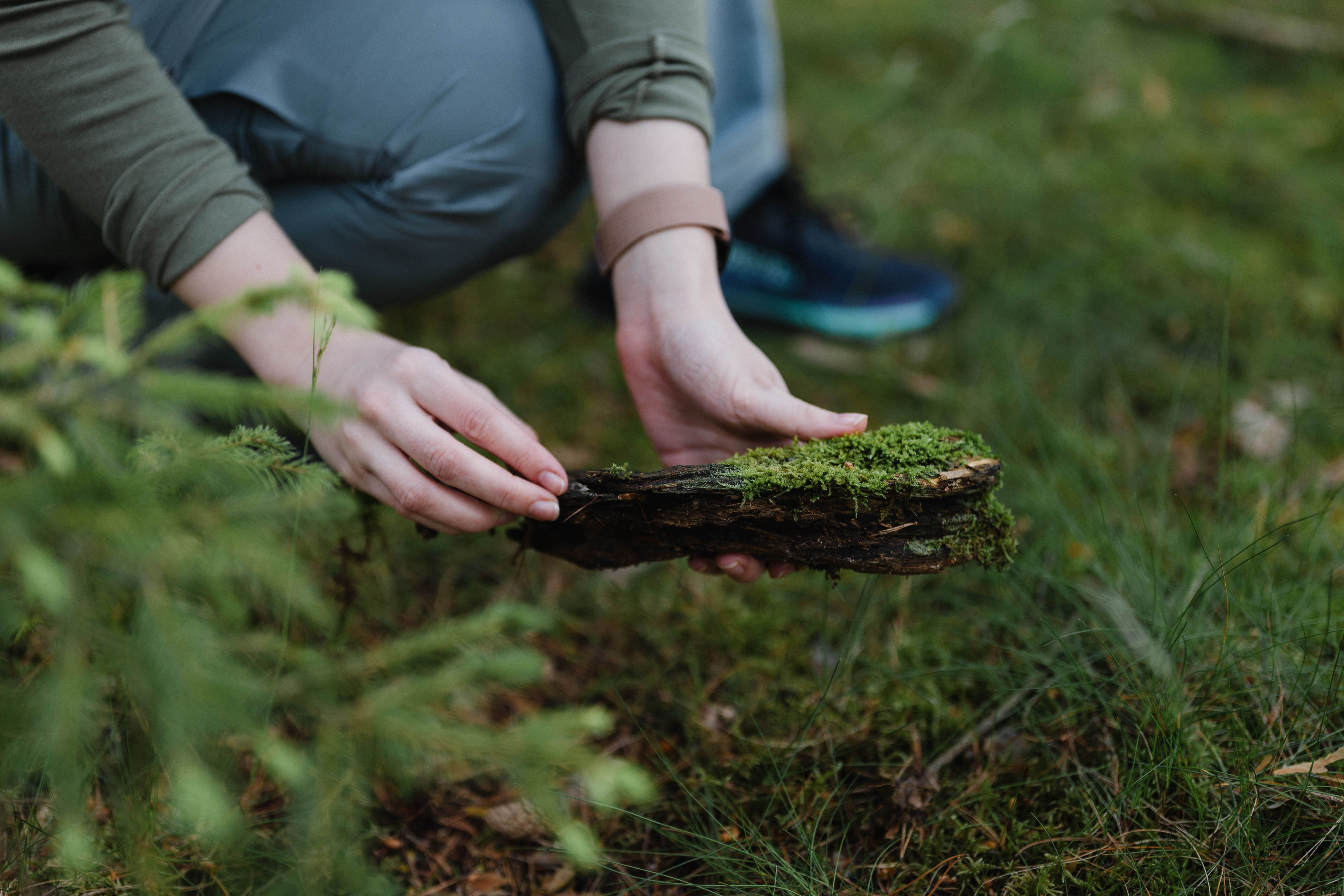 Egy személy egy mohával borított fadarabot tart a kezében az erdőben.