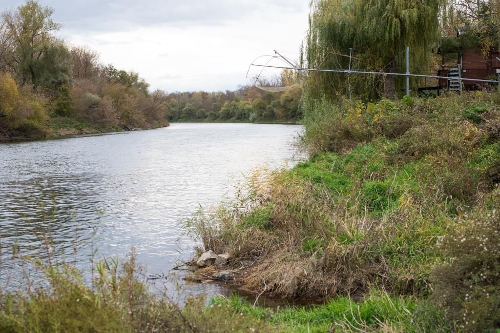 Folyami táj fákkal és zöld partokkal.