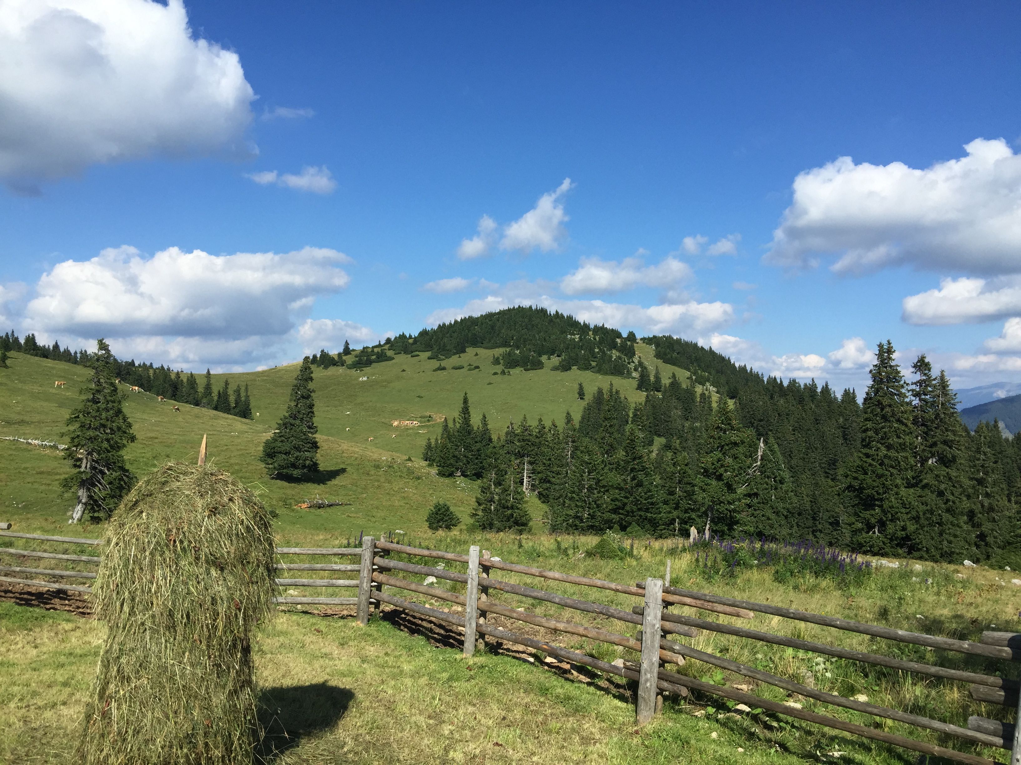 St. Aegyd am Neuwalde környéke