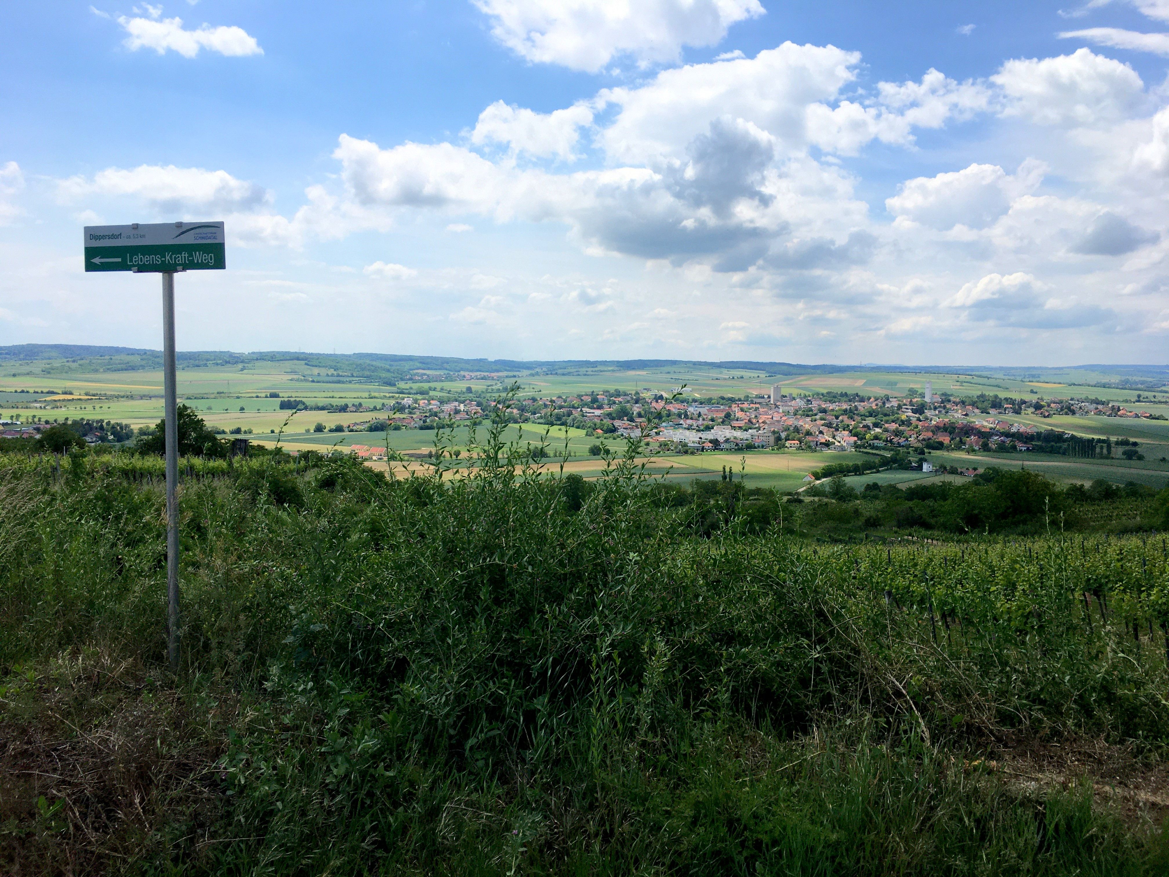 Tájkép Ziersdorfra néző kilátással és "Lebens-Kraft-Weg" jelzéssel.